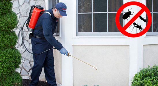 Özkanlar Akrep İlaçlama böcek ilaçlama ve haşere kontrolü — ilaclama-tr.com